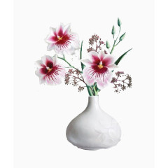 白色花瓶与渐变粉色蝴蝶花