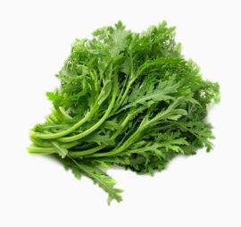 北极香菜