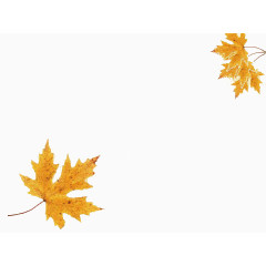 秋天黄叶PPT背景