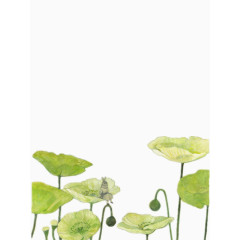 坐在荷叶上的小兔子