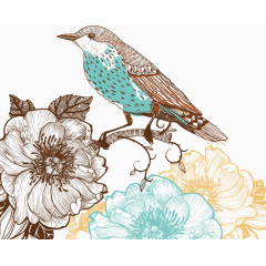 中国风鸟彩色