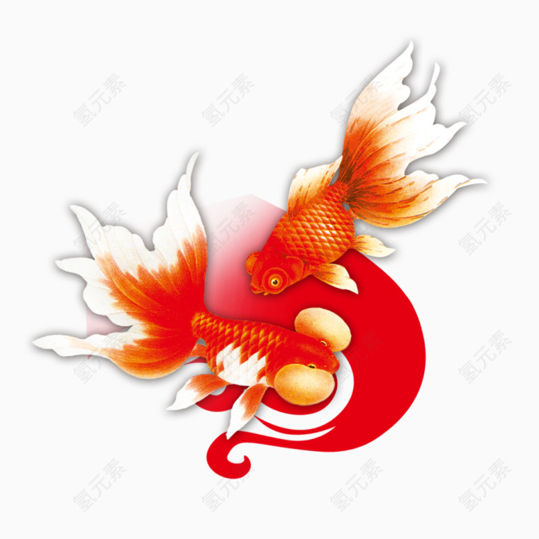 红色金鱼免抠素材
