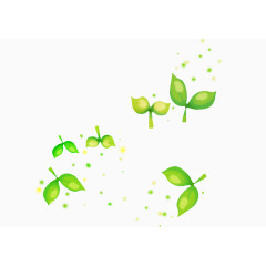 唯美清新漂浮树叶