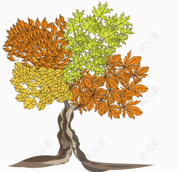 绿色植物