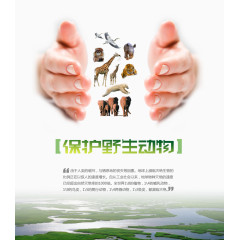 保护野生动物公益广告