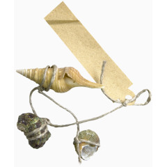 创意个性海螺手串装饰