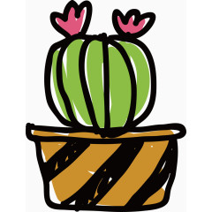 带花小型仙人球