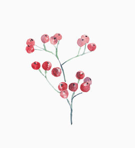 圣诞节手绘花纹素材