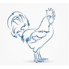 十二生肖素描鸡