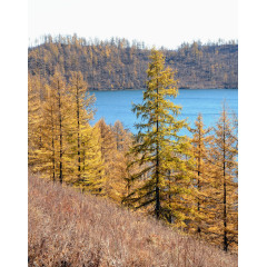 驼峰岭天池美景
