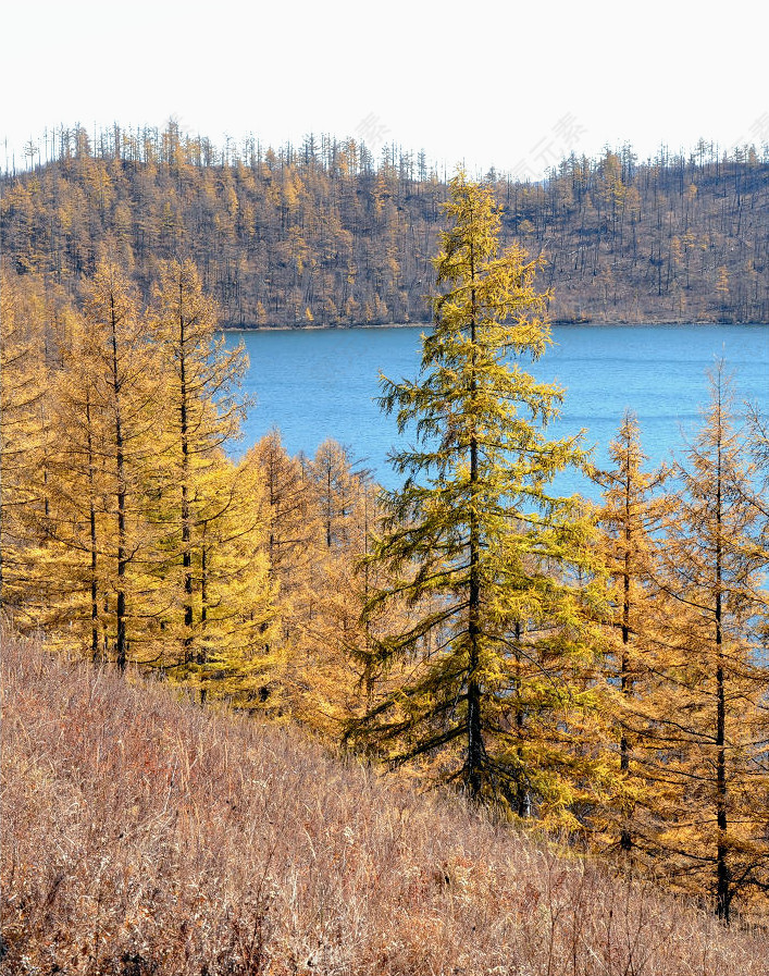 驼峰岭天池美景