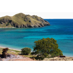 科莫多国家公园摄影