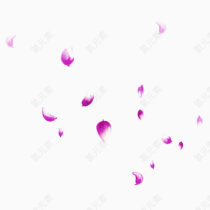 紫色的花瓣