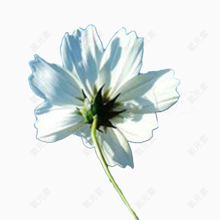 配图，png图像质量，支持印刷