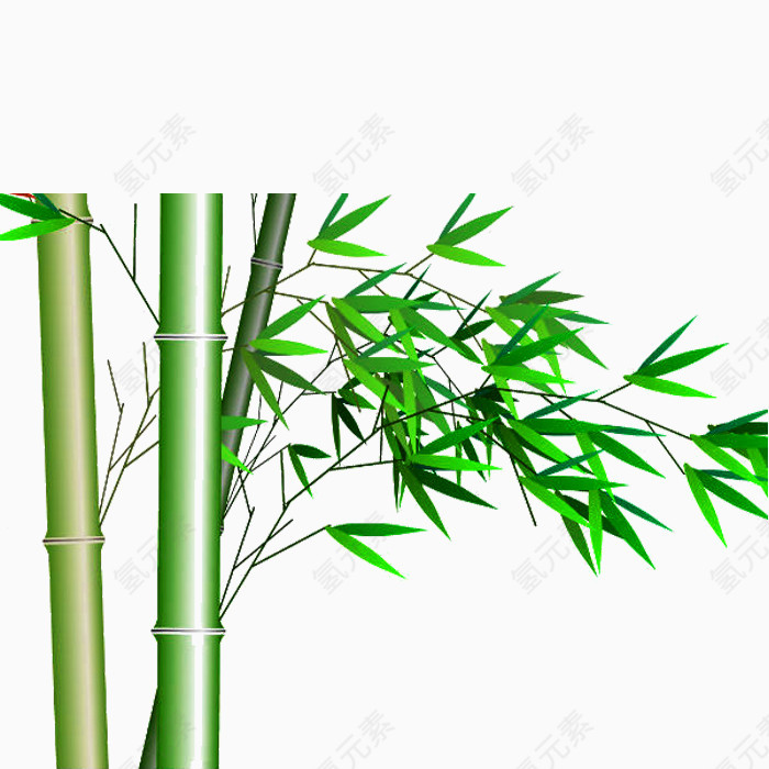 竹子