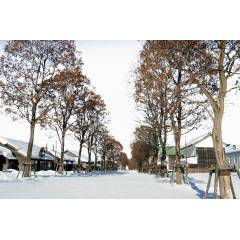 北海道开拓村街景