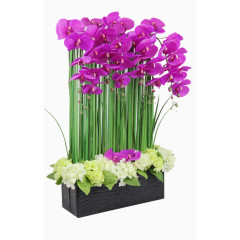 防真花干花紫色蝴蝶兰假花