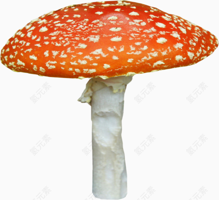 色彩鲜艳的大蘑菇免扣素材