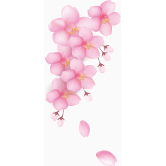 樱花花瓣元素