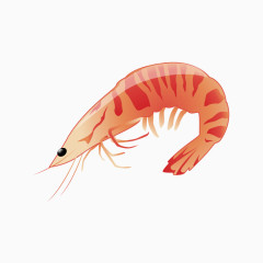 矢量红色的大虾