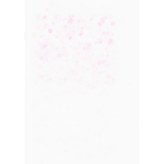 粉色花瓣光晕背景1