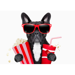 创意看电影的狗狗