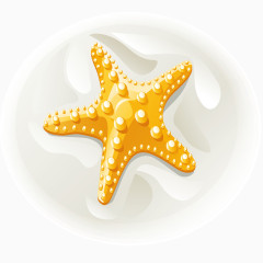 海星