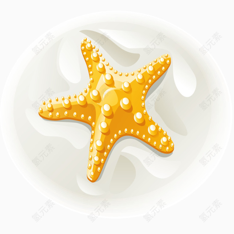 海星