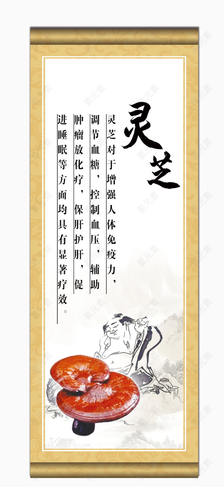 传统中医药材灵芝