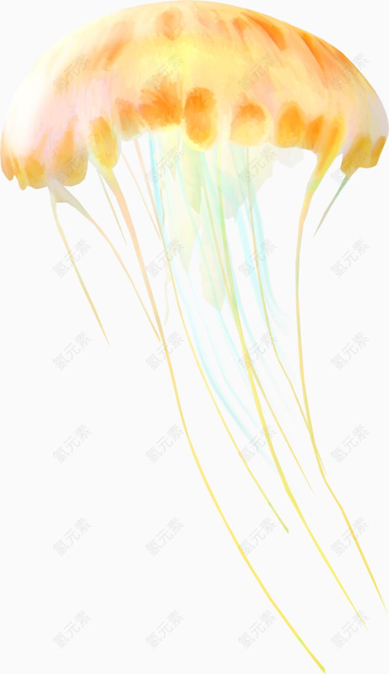 水母