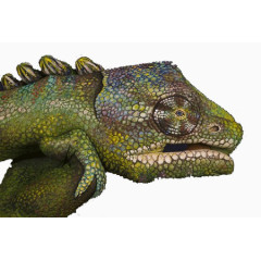 趣味手绘变色龙