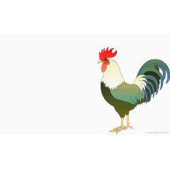 公鸡鸡年素材