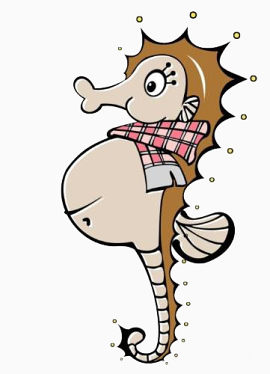 可爱卡通海马爸爸