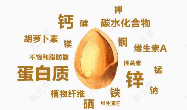 杏仁营养图