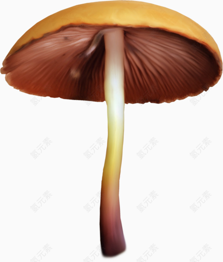 色彩鲜艳的大蘑菇免扣素材