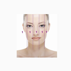 脸部比例分