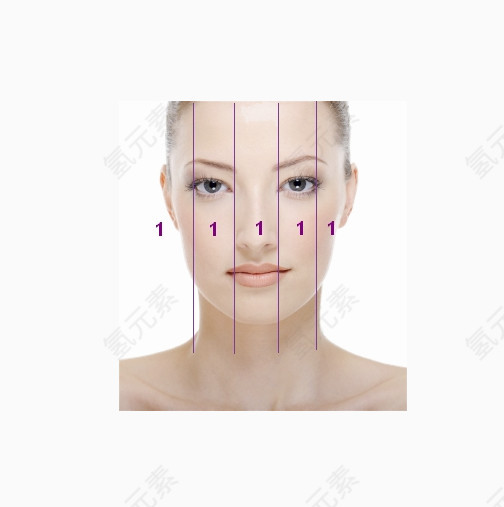 脸部比例分