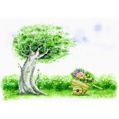 桉树和草丛图片素材