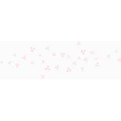 粉白色花朵花瓣