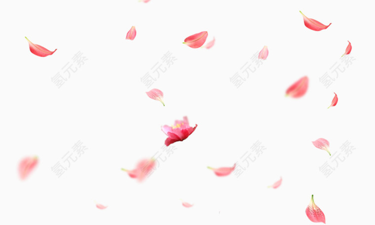 唯美花瓣漂浮免扣素材