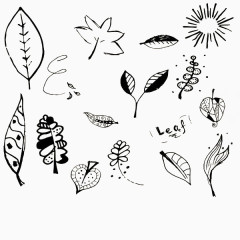 文艺手绘叶子植物