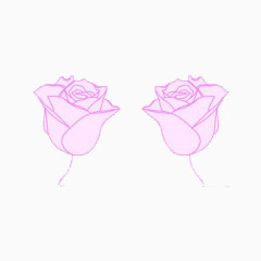 玫瑰 粉色 一对 祝福