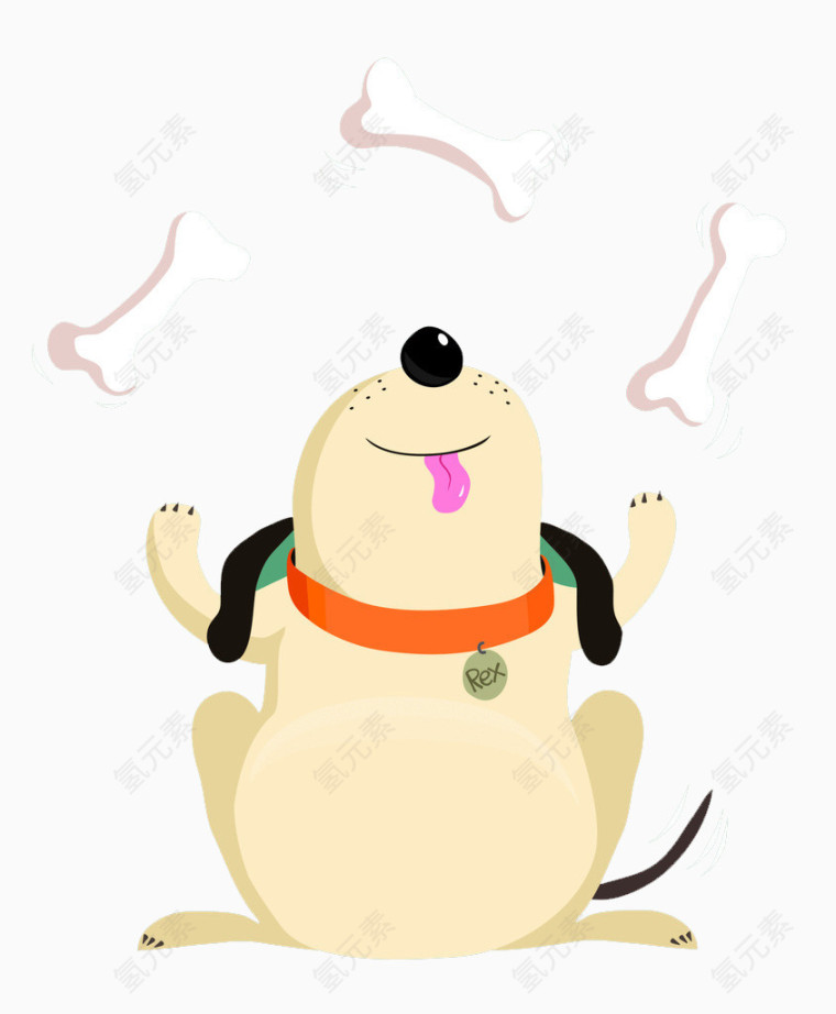 见到骨头开心的狗狗