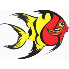 黄加红生气的鱼儿