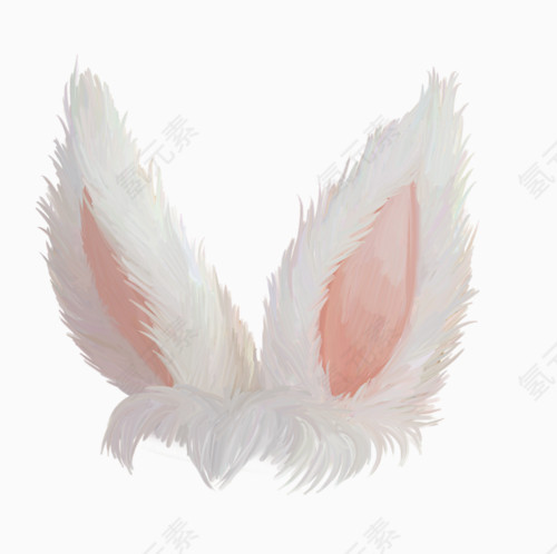 兔子耳朵素材