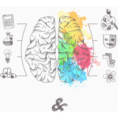 手绘左右大脑对比图