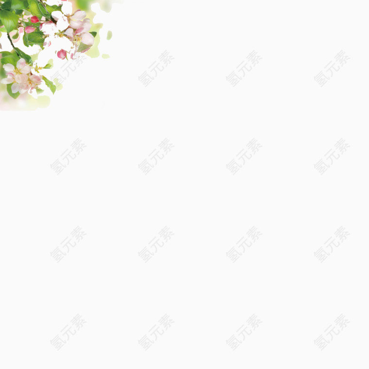 唯美清新蔷薇花