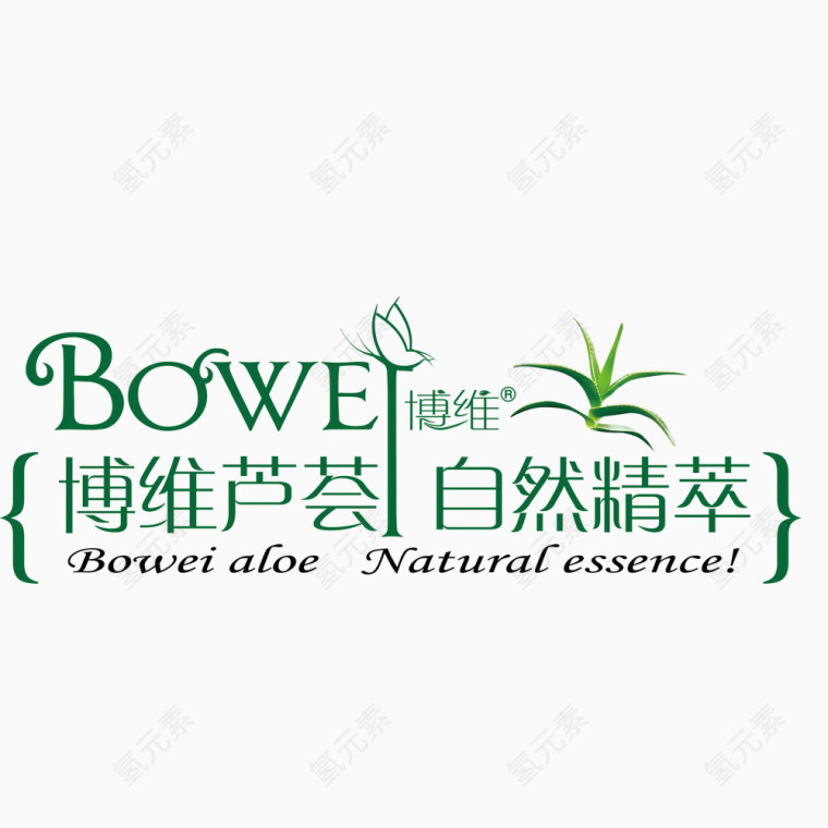 清新自然的芦荟美容图标