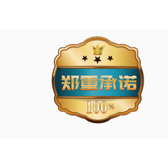 华丽金色郑重承诺矢量图