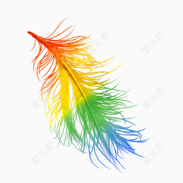 彩虹羽毛